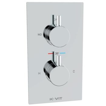 Twin Concealed Thermostatic Shower